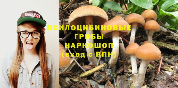 мескалин Сосновка