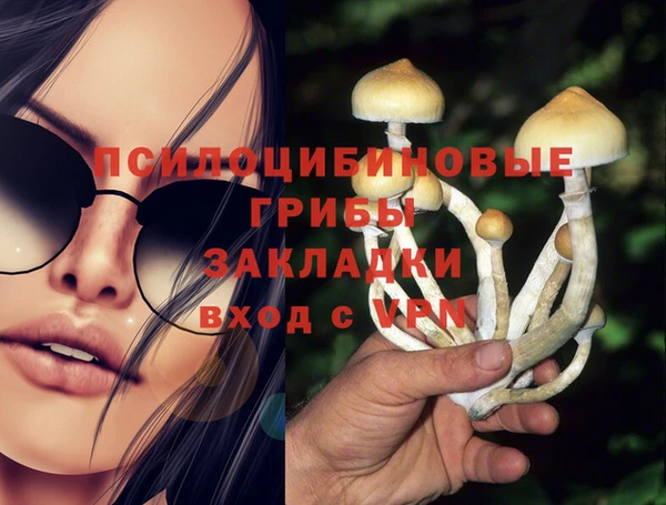 марки nbome Богданович