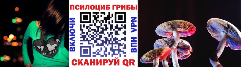 Псилоцибиновые грибы ЛСД  закладки  Новоульяновск 